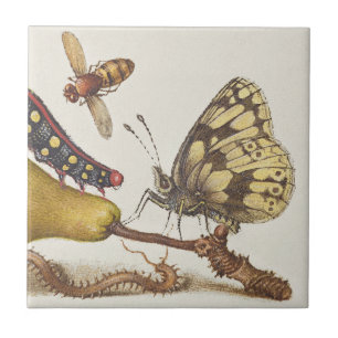 Garden Insects, Fly, Caterpillar, Pear, Centipede Tile