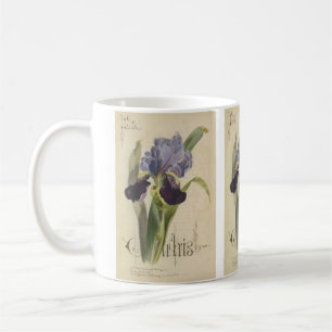 Garden Iris by Paul Jerrard Coffee Mug