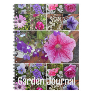 Garden Journal Pink Petunia Pretty Spring Flowers