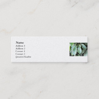Garden Leaves Mini Business Card