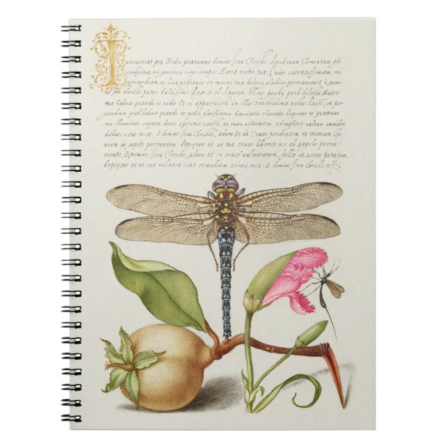 Garden life, Dragonfly, Pear, Carnation and Insect Notebook (Front)