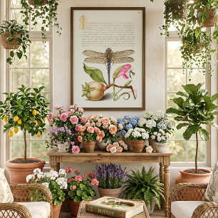 Garden life, Dragonfly, Pear, Carnation and Insect Poster