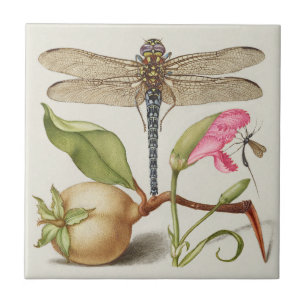 Garden life, Dragonfly, Pear, Carnation and Insect Tile
