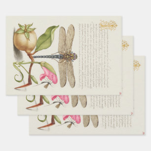 Garden life, Dragonfly, Pear, Carnation and Insect Wrapping Paper Sheet