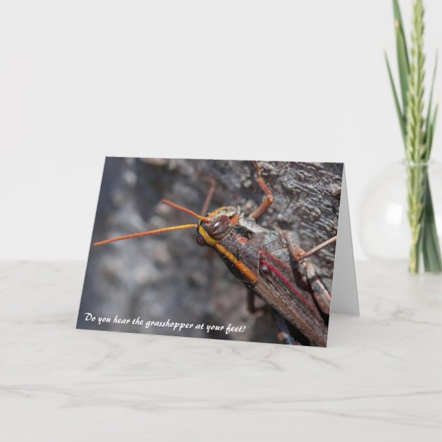 Garden Locust Grasshopper Greeting Card (Front)