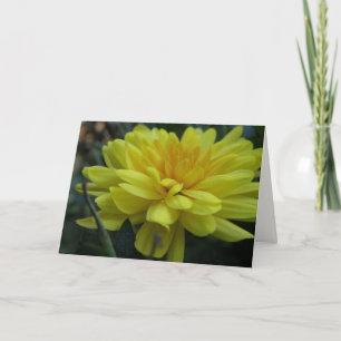 Garden Mum "Get well soon!" Card