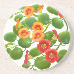 Garden Nasturtium Flowers Your Coaster