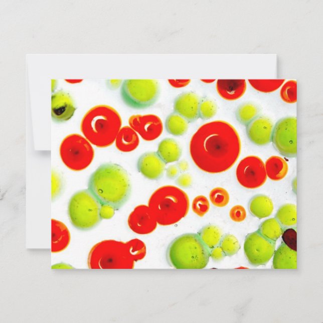 garden no. 5 (Front)