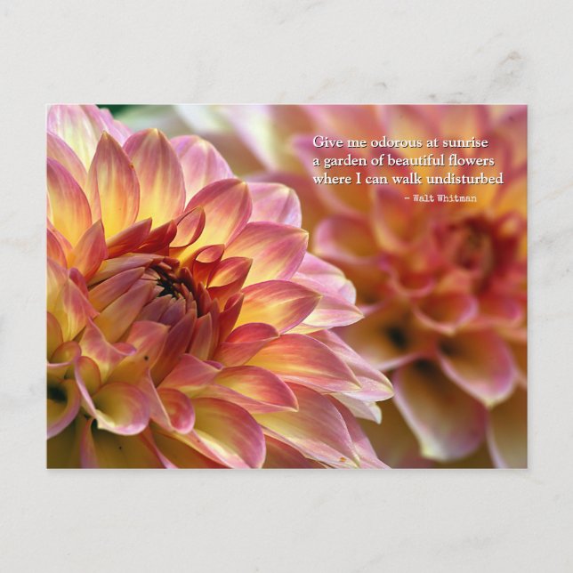 Garden of Beautiful Flowers: Quote by Whitman Postcard (Front)