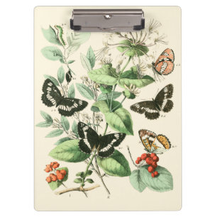 Garden of Butterflies and Flowers Clipboard
