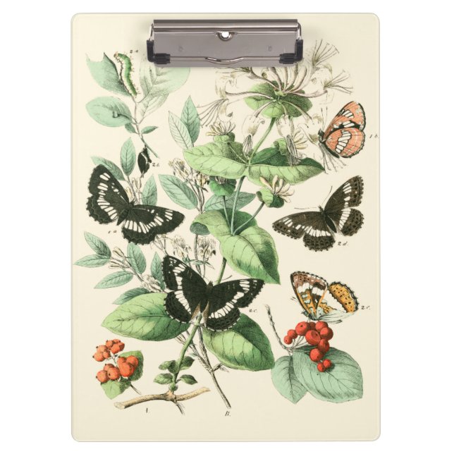 Garden of Butterflies and Flowers Clipboard (Front)