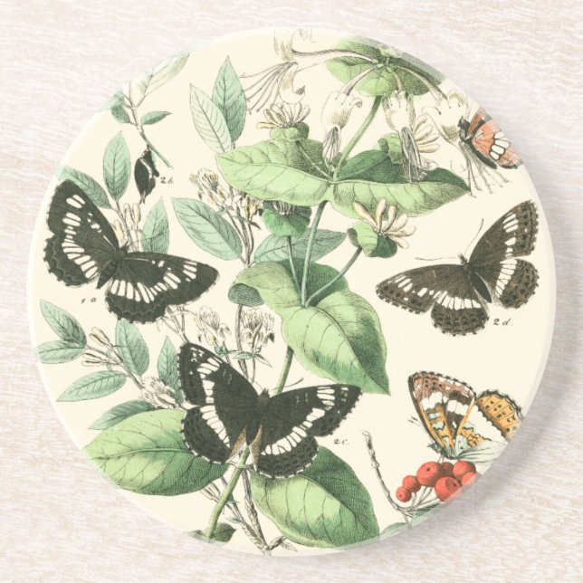Garden of Butterflies and Flowers Coaster (Front)
