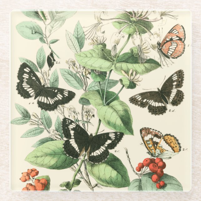 Garden of Butterflies and Flowers Glass Coaster (Front)