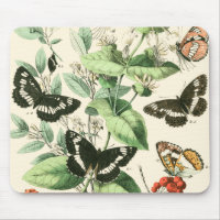 Garden of Butterflies and Flowers