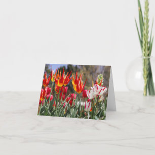 Garden of Floral Flames Thank You Card