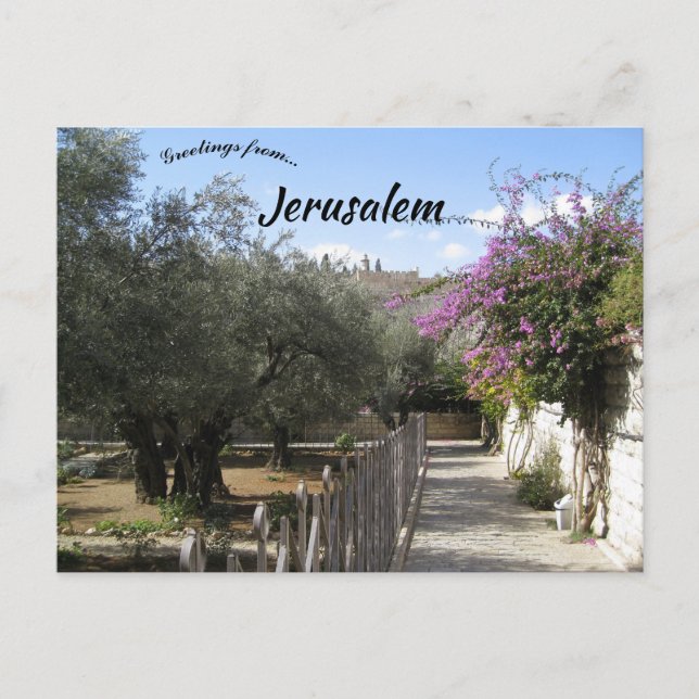 Garden of Gethsemane Jerusalem 2 Postcard (Front)