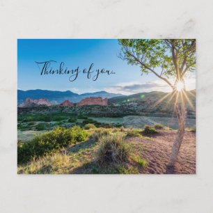 Garden Of Gods Tree Sun Thinking Of U Postcard