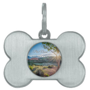 Garden Of Gods Tree Sunburst Pet Tag