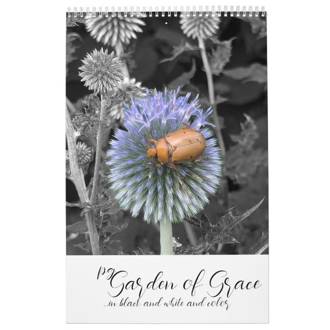 Garden of Grace: In Black & White & Color Calendar (Cover)