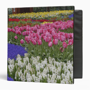 Garden of grape hyacinth, hyacinth and tulips, binder