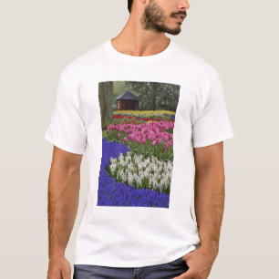 Garden of grape hyacinth, hyacinth and tulips, T-Shirt