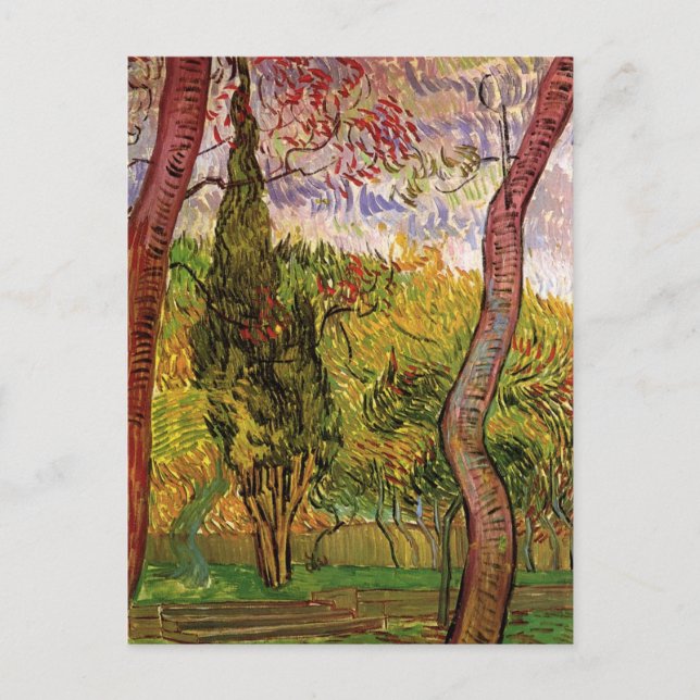 Garden of Saint-Paul Hospital by Vincent van Gogh Postcard (Front)