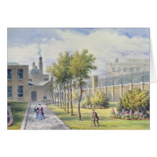 Garden of St. Thomas's Hospital