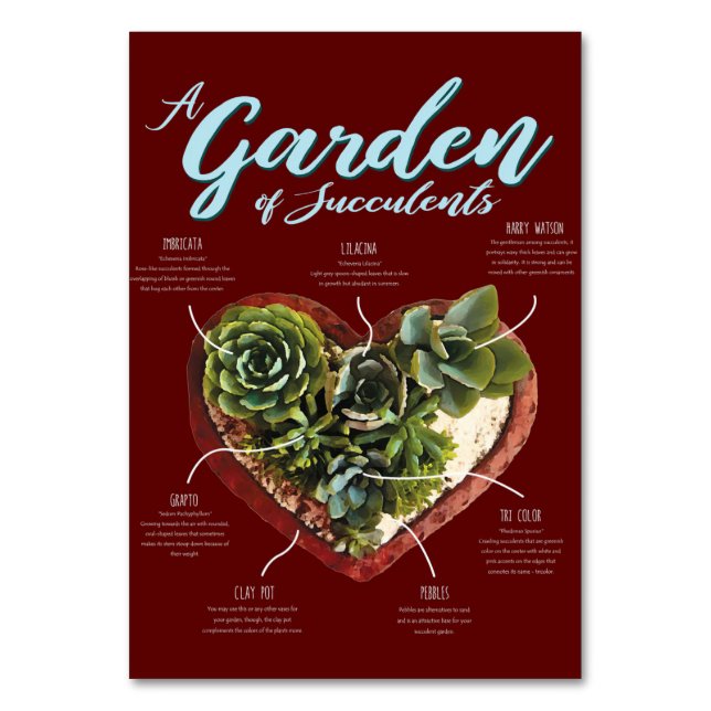 Garden Of Succulents Table Number (Front)