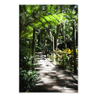 Garden of the sleeping giant, Fiji Photo Print
