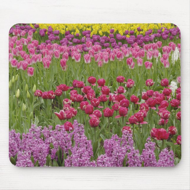 Garden of tulips, daffodils, and hyacinth mouse pad (Front)