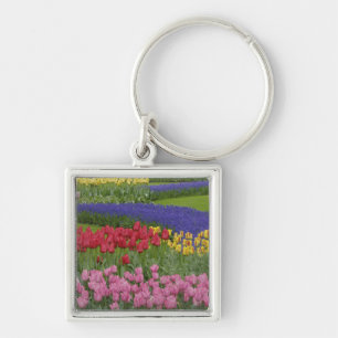 Garden of tulips, Grape Hyacinth and Keychain