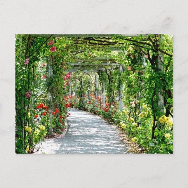 garden path postcard (Front)