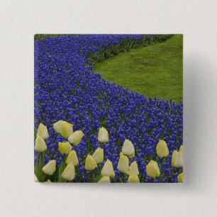 Garden pattern of Grape Hyacinth flowers and 2 Inch Square Button