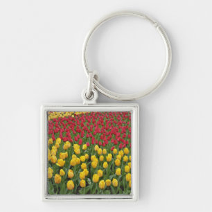 Garden pattern of tulips, Keukenhof Gardens, 2 Keychain