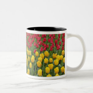 Garden pattern of tulips, Keukenhof Gardens, 2 Two-Tone Coffee Mug