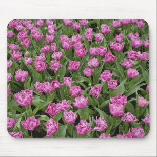Garden pattern of tulips, Keukenhof Gardens, Mouse Pad
