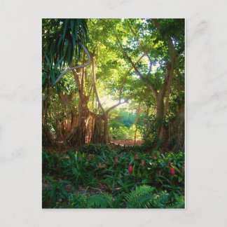 garden peace postcard