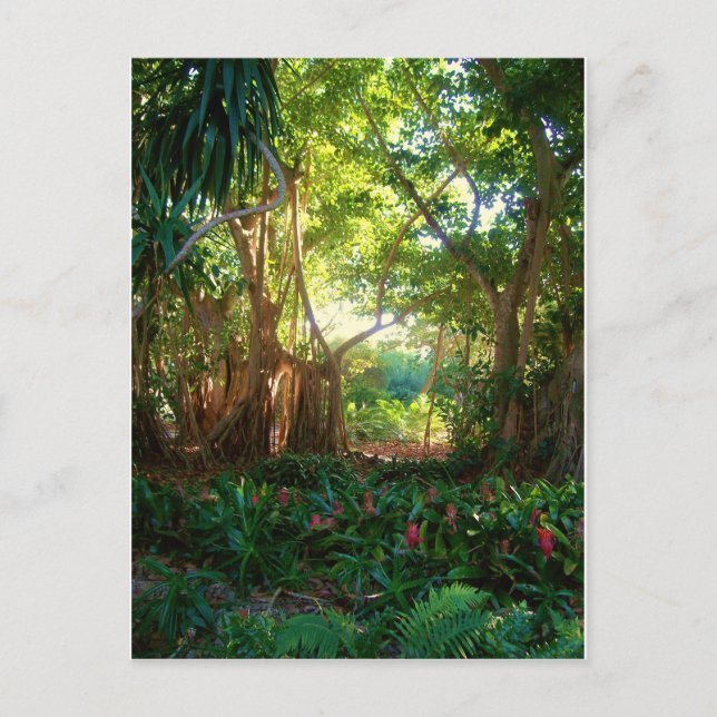 garden peace postcard (Front)