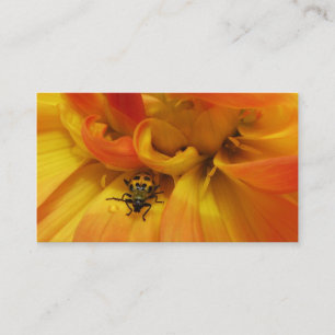 Garden Pest Control Business Card