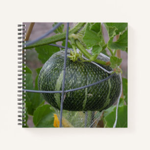 Garden Pumpkin Notebook
