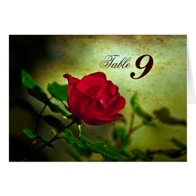 garden red rose steampunk gothic wedding (Front Horizontal)