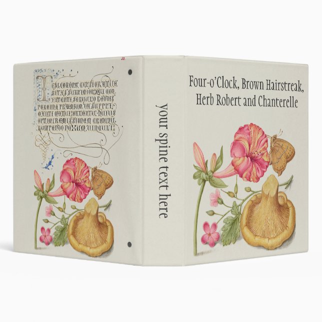 Garden Scene with Flowers, Butterfly and Mushroom Binder (Background)