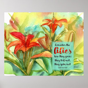 Garden Scripture Luke 12:27 Daylily Flowers Poster