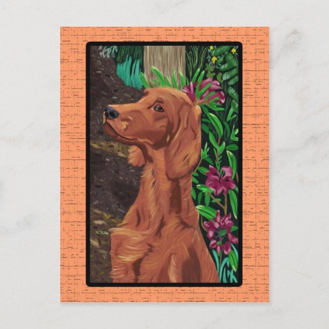 Garden Setter postcard (Front)