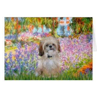 Garden - Shih Tzu (P)