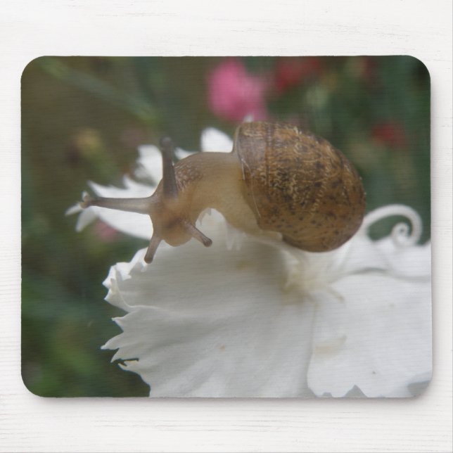 Garden Snail and White Carnation Mousepad (Front)