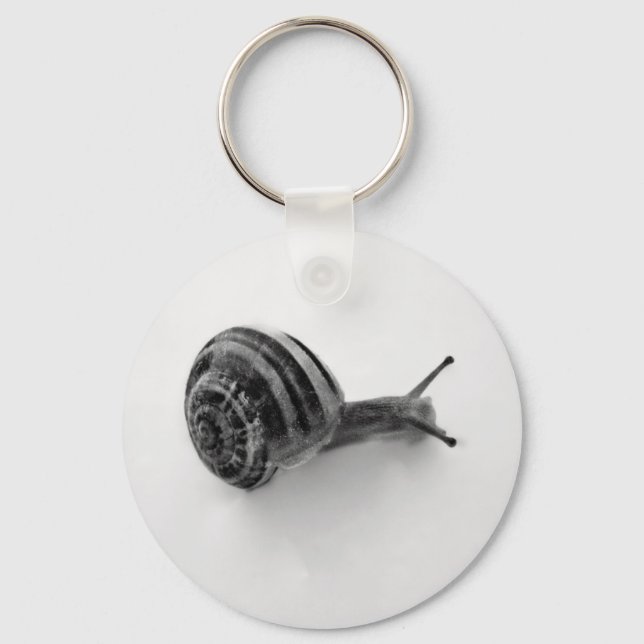 Garden Snail Nature Photography Keychain (Front)