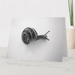 Garden Snail Nature Photography Thank You Card