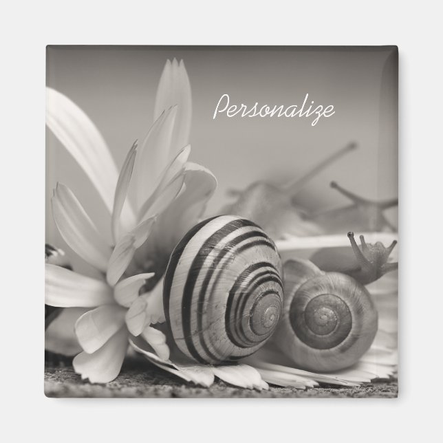 Garden Snails On Daisy Flower With Name Magnet (Front)