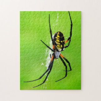 Garden Spider Jigsaw Puzzle